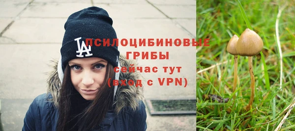 apvp Баксан