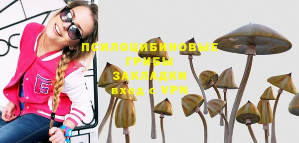 apvp Баксан