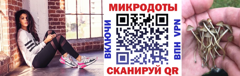 Псилоцибиновые грибы мухоморы  купить   Семилуки 